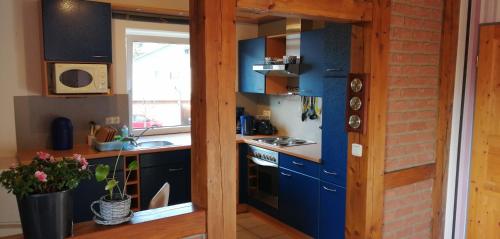 a kitchen with blue cabinets and a stove top oven at Wohnung Auerand in Nienhagen