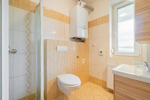 łazienka z toaletą i umywalką w obiekcie Apartmány Pod Sjezdovkou w mieście Červená Voda