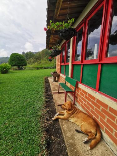Mascotas con sus dueños en Finca La Playa Ecohotel - Experiencia Campestre -