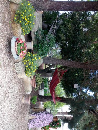 Taman di luar Masseria Caracci
