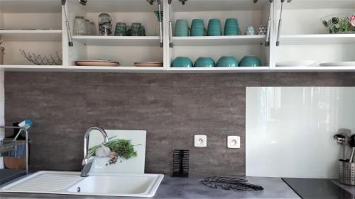 um balcão de cozinha com um lavatório e prateleiras com vasos em Studio Quisqualis em Sainte-Anne