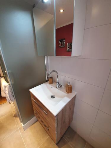 a bathroom with a sink and a mirror at FeWo-Butze 3 Deichblick Strandnähe ca. 750m in Dornumersiel