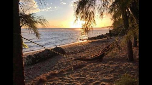 a hammock on a beach with a sunset at Magnifique T2 vue mer in Saint-Leu