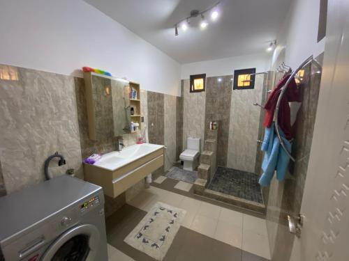 ein Badezimmer mit einem Waschbecken und einer Waschmaschine in der Unterkunft Villa Annjo in Pointe aux Piments