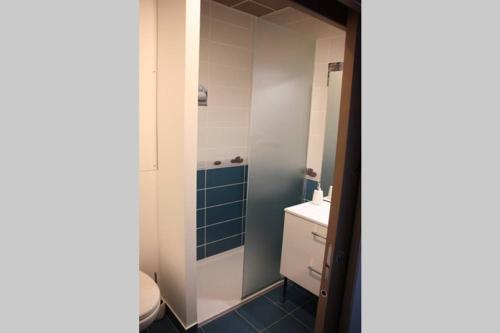 a bathroom with a toilet and a sink at GITE PARIS - Appartement in La Clayette