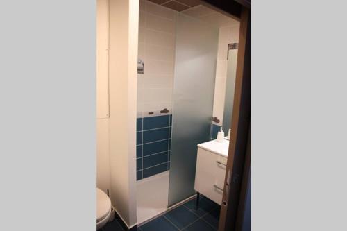 une salle de bain avec toilettes et lavabo dans l'établissement GITE PARIS - Appartement, à La Clayette