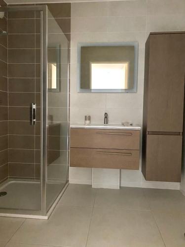 une salle de bain avec un lavabo et une douche dans l'établissement Spacieux appartement avec jardin dans résidence de grand standing avec piscine, à Sanary-sur-Mer
