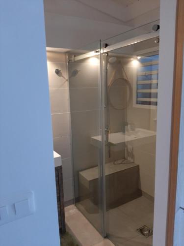 una doccia in vetro in un bagno con lavandino di Tekila Beach, appt-condo au bord de mer a Saint-Martin SXM a Baie Nettle