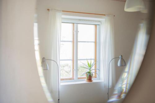 a window with a potted plant in a window sill at STF Brantevik Råkulle Hostel in Brantevik