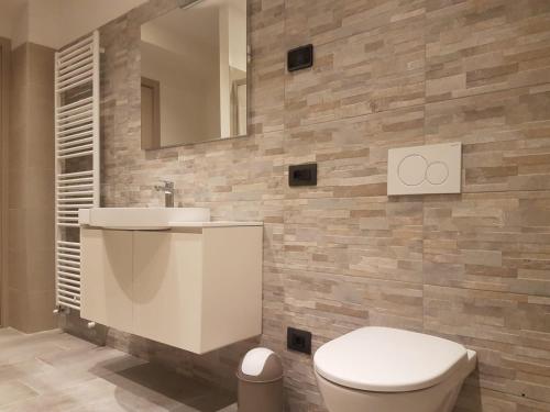 a bathroom with a toilet and a sink and a mirror at Alloggio Casa Talvena XL in Longarone