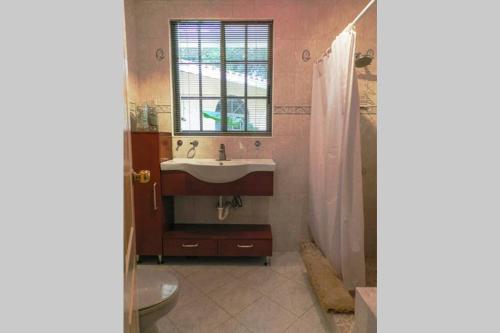 ein Bad mit einem Waschbecken, einem WC und einer Dusche in der Unterkunft A Haven of Tranquility in the Mountains in Altos del Maria Panama in El Picacho