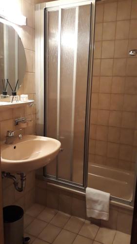 a bathroom with a shower and a sink at Hotel Eleon in Bad Teinach-Zavelstein
