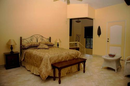 A bed or beds in a room at Tower Studio in the Treetops in Altos del Maria Panama