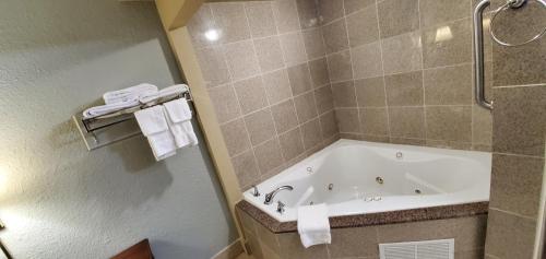 Koupelna v ubytování FairBridge Inn & Suites