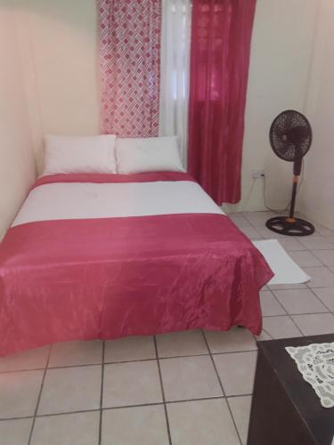 a bedroom with a large bed with a red blanket at Hilltop View Guesthouse in Castries
