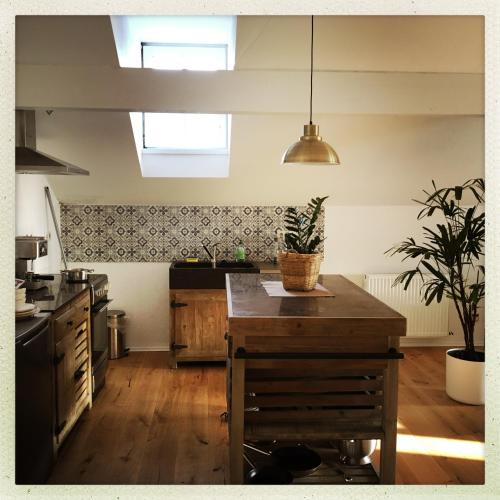 a kitchen with a wooden table and a potted plant at Morgentau Penthouse in Passau