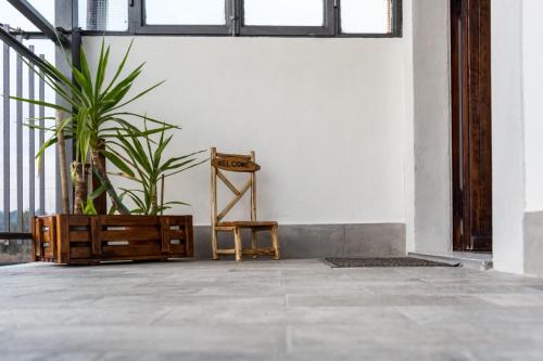 a room with a chair and a potted plant at C'era una volta room in Case Nuove
