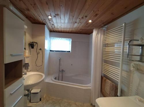 a bathroom with a tub and a shower and a sink at Chata Ondrášek in Bedřichov