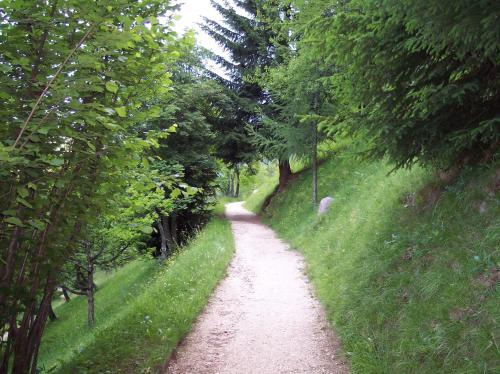 a dirt road with trees on the side of a hill at Villa Hubertus in Ortisei