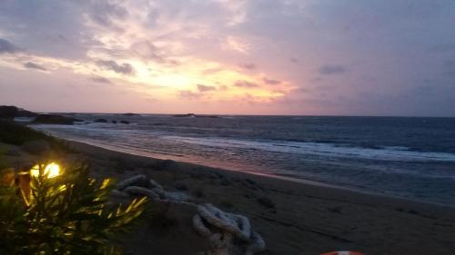 a sunset on the beach with the ocean at Vina Beach Hotel in Skiros