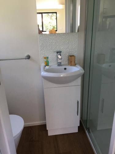 uma casa de banho com um lavatório, um chuveiro e um WC. em Tiny House em Woonona