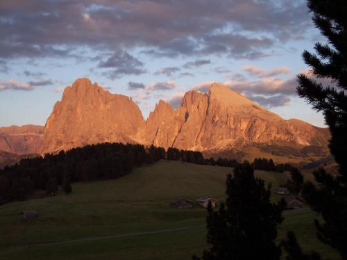 a view of a mountain range with trees in the foreground at Villa Hubertus in Ortisei