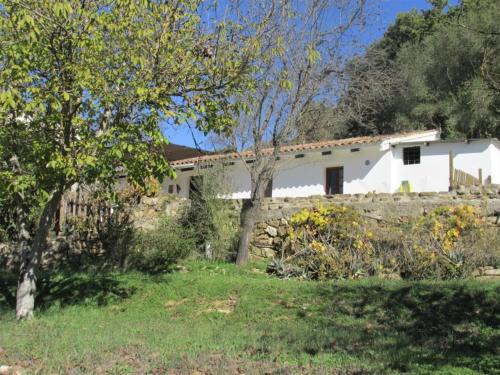 A garden outside Casita la Luna Rosa