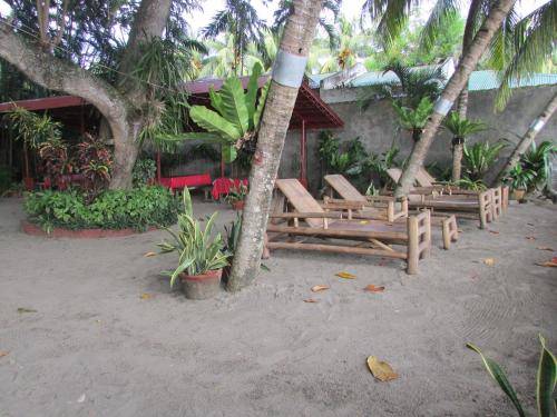 ośrodek wypoczynkowy z kilkoma krzesłami i palmami w obiekcie Felipa Beach and Guesthouse - Lotus w mieście Dumaguete