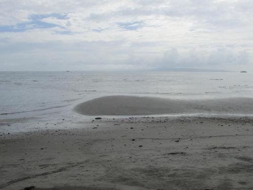 an island in the water on a beach at Felipa Beach and Guesthouse - Lotus in Dumaguete