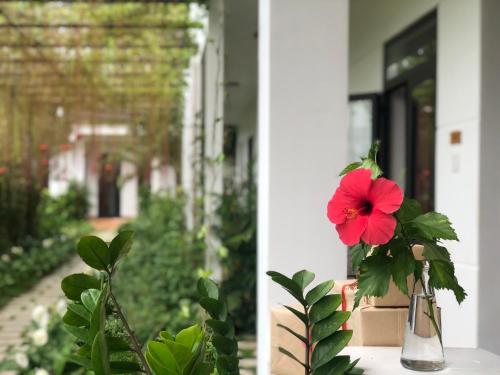 a red flower in a vase on a porch at Hoàng Ngọc's House in Tuy Hoa