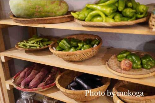 a display of vegetables in baskets on a shelf at toyoukenomori in Mitsugarasuchō