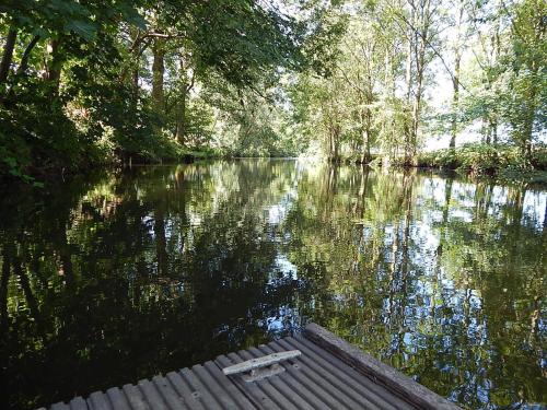 uma vista para um rio com um barco em Ferienwohnungen Bekperle em Bekdorf