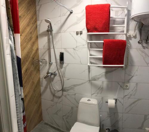 Kúpeľňa v ubytovaní Apartment Studio LONDON 92