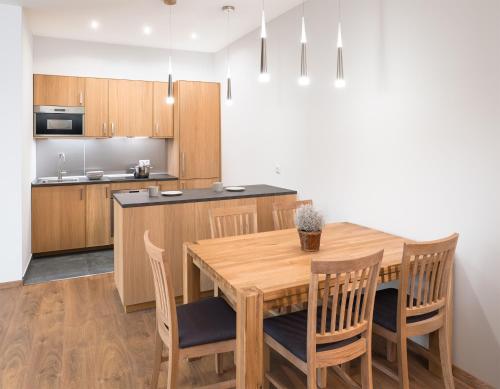 Η κουζίνα ή μικρή κουζίνα στο Deluxe Apartman Visegrád