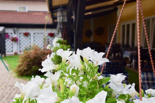 Un jardín fuera de Gasthof Kasperle