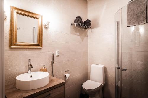W łazience znajduje się umywalka, toaleta i lustro. w obiekcie Villa Happy Fox w mieście Rovaniemi