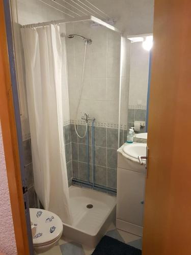 une salle de bain avec une douche, des toilettes et un lavabo dans l'établissement STUDIO CHALEUREUX aux pieds des pistes de ski des Glovettes, à Villard-de-Lans