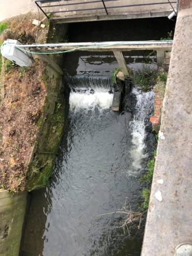 a small stream of water with a wooden bridge at B&B Langeveldemolen in Merchtem