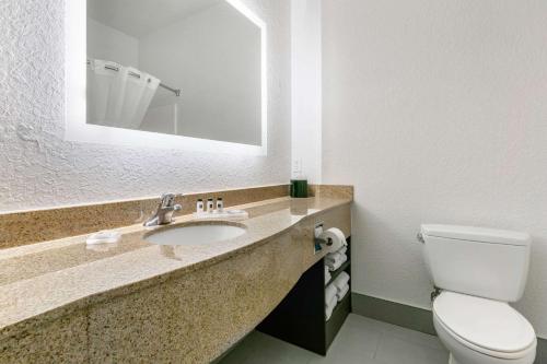 a bathroom with a sink and a toilet and a mirror at Clarion Pointe Columbus-Bradley Park in Columbus