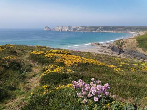a field of flowers on a hill with a beach at LE PETIT NID DANS LA ROULOTTE in Roscanvel