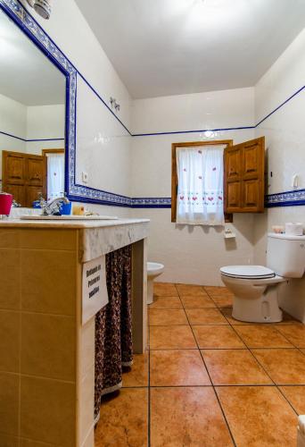a bathroom with a sink and a toilet and a mirror at Casa Rural Las 6 Hermanas in San Martín de Trevejo