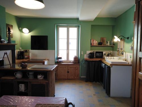 a kitchen with green walls and a sink and a window at Meublé de tourisme La Maison d'Orgy in Chevannes