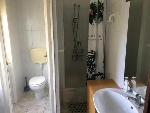 a bathroom with a toilet and a sink and a shower at B&B " Guzzi - Inn " in Mandello del Lario