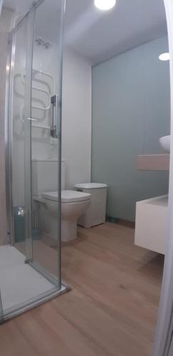 a bathroom with a toilet and a glass shower at PRIMERA LINEA DE PLAYA EN VALDELAGRANA in El Puerto de Santa María