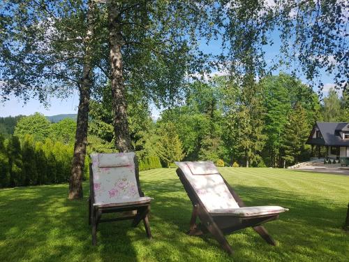 two chairs sitting in the grass under a tree at Dom Malowany in Wetlina