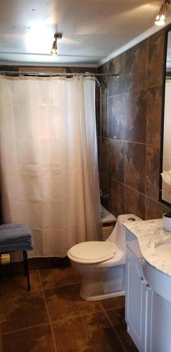 a bathroom with a toilet and a shower and a sink at Turismo del Bosque in Castro
