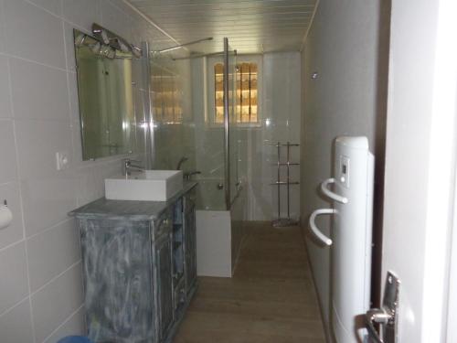 La salle de bains est pourvue d'une douche, d'un lavabo et d'un miroir. dans l'établissement 34 Rue de la Coucouroune Gîte de la Coucouroune, à Soual