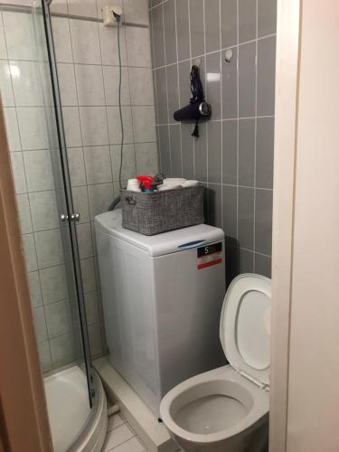 a small bathroom with a toilet and a shower at Kemi city center 2 room and kitchen Free private parking in Kemi