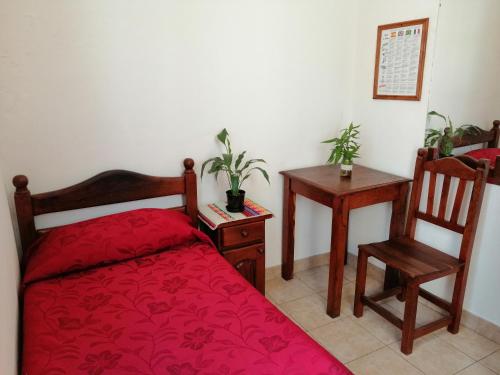 a bedroom with a bed and a table and a chair at Hotel La Piedad in Buenos Aires