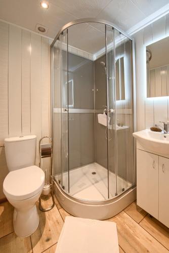 a bathroom with a shower and a toilet and a sink at Malinowa Chata Murzasichle in Murzasichle